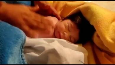 نوزاد بلاتکلیف در زنده ماندن