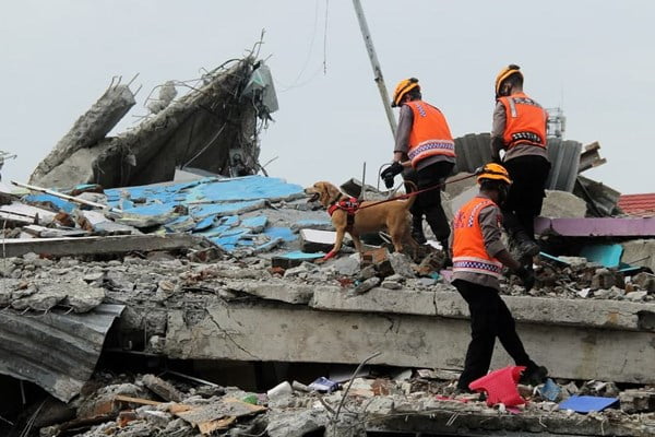 اندونزی ۲۰۲۱ روی خط بحران؛ از سقوط هواپیما تا زلزله کُشنده «سولاوسی»