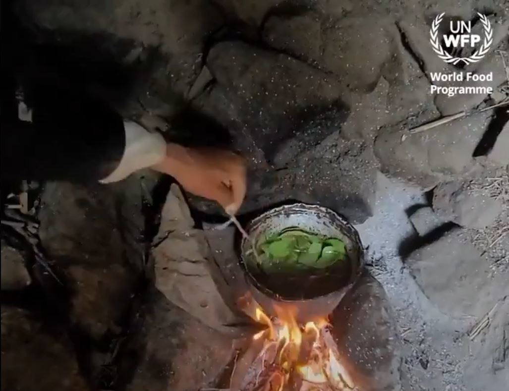 نهاد مرتبط با سازمان ملل: مردم یمن به تغذیه از برگ درختان روی آورده‌اند