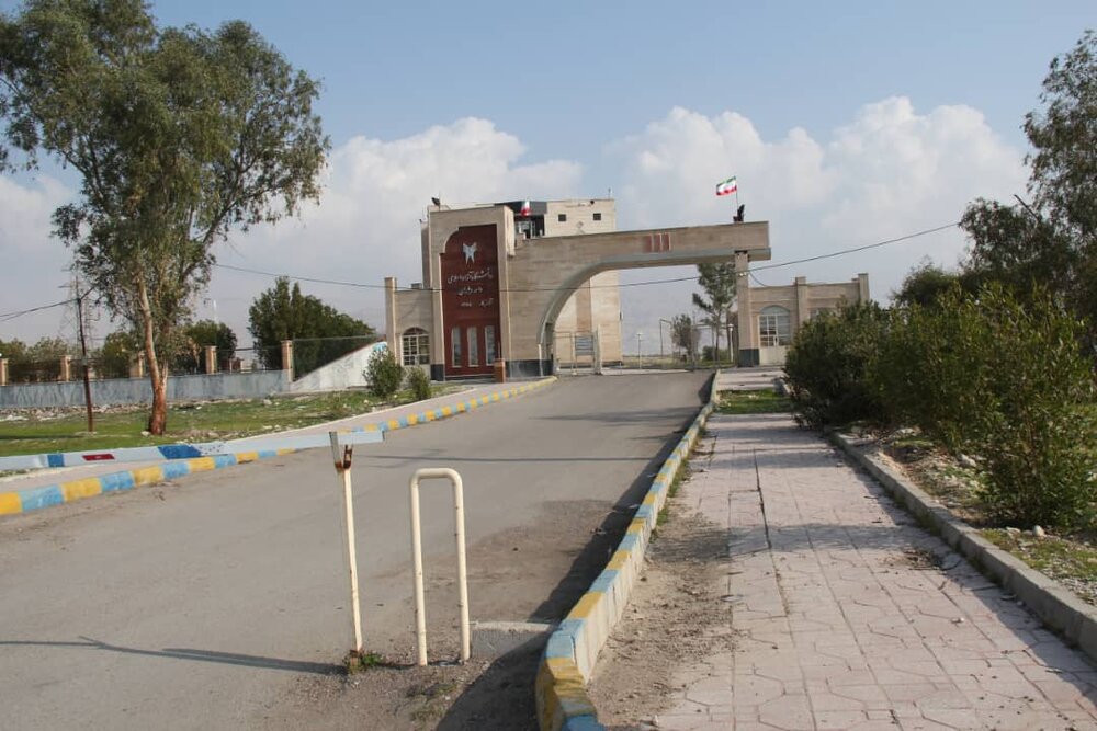 50 هکتار زمین تولید گیاهان دارویی در مراحل پایانی اخذ مجوز