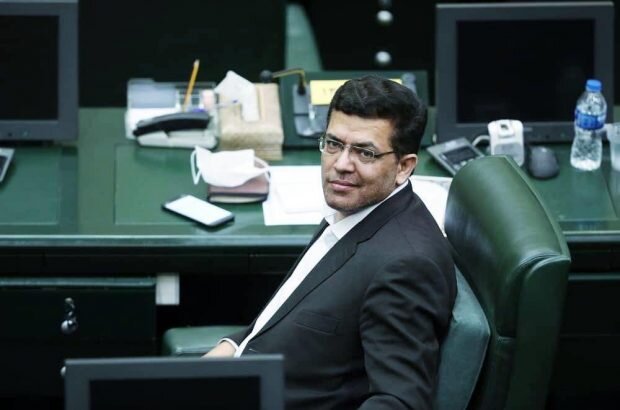 اسماعیلی: در زمینه هم‌خوانی مجازات و جرم سرقت خلاء قانونی داریم