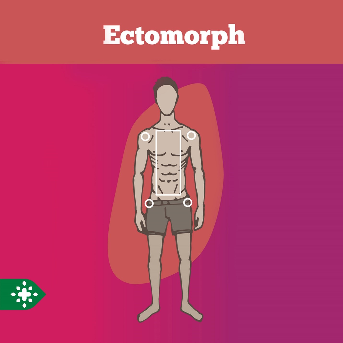 بررسی تایپ بدنی مزومروفو – اکتومورف - اندومورف