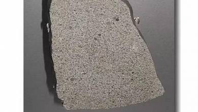 برخورد شهاب سنگ بر زن بدبخت / عکس