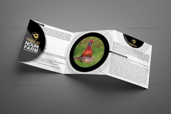 قیمت طراحی کاتالوگ دیجیتال