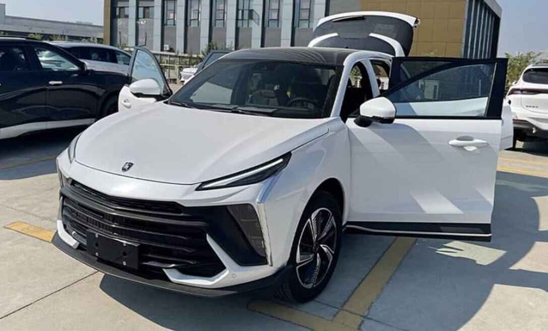 ورود یک لاماری ایمای متفاوت به بازار / عکس