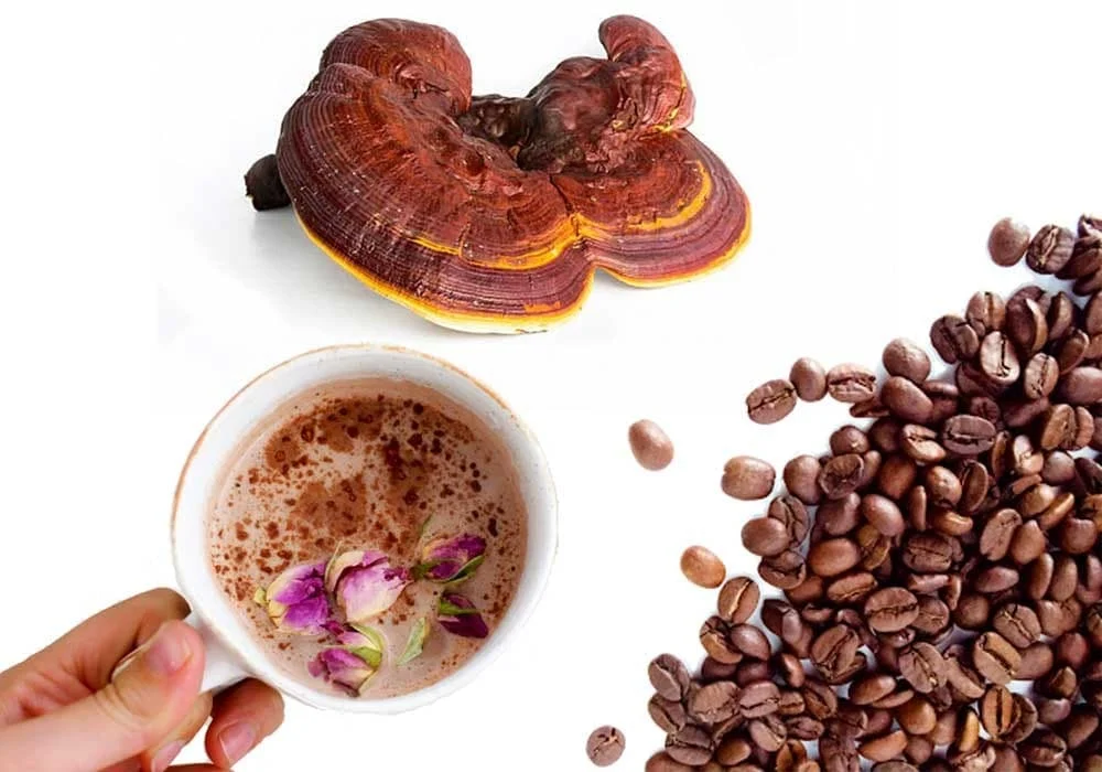 قارچ گانودرما برای زگیل تناسلی