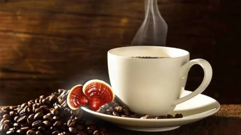 خواص قهوه موکا با قارچ گانودرما