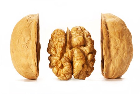 گردو و افزایش هوش در کودکان ما