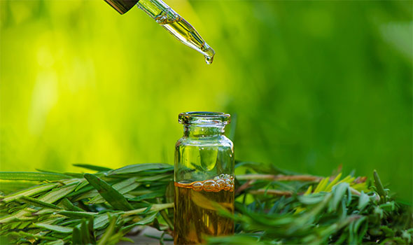 آشنایی با خواص روغن درخت چای