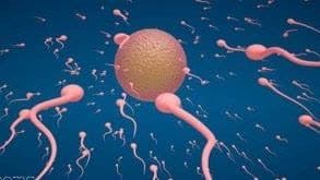 بهترین قرص برای جهش اسپرم