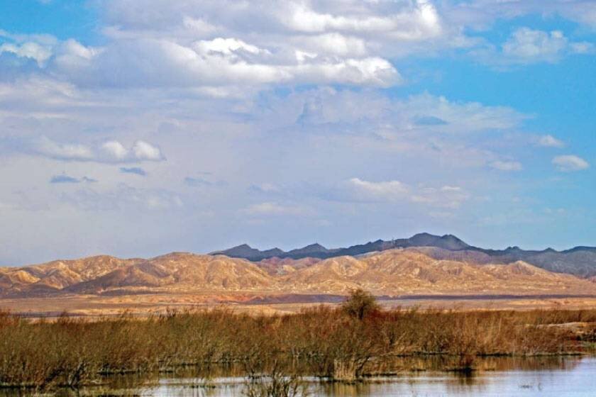 آخرین وضعیت تالاب بندعلیخان - ایسنا