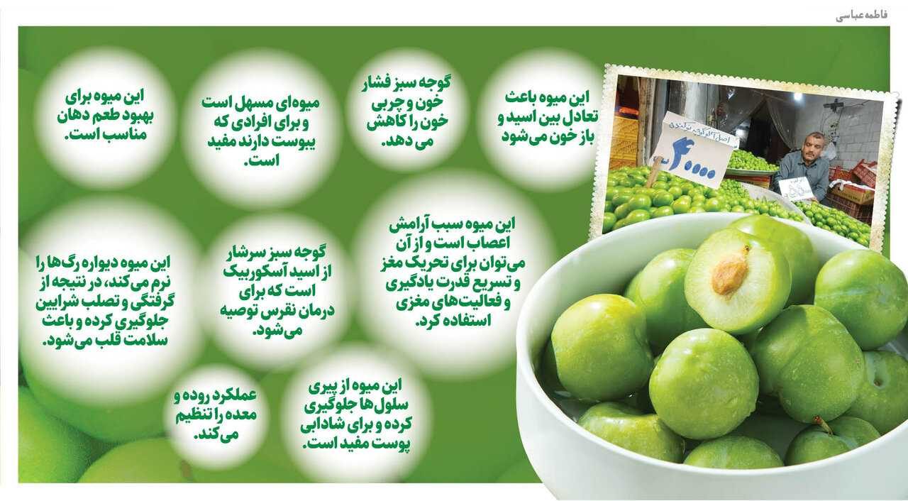 نوبرانه نوکنده ؛ اینجا شهر گوجه سبز ایران است