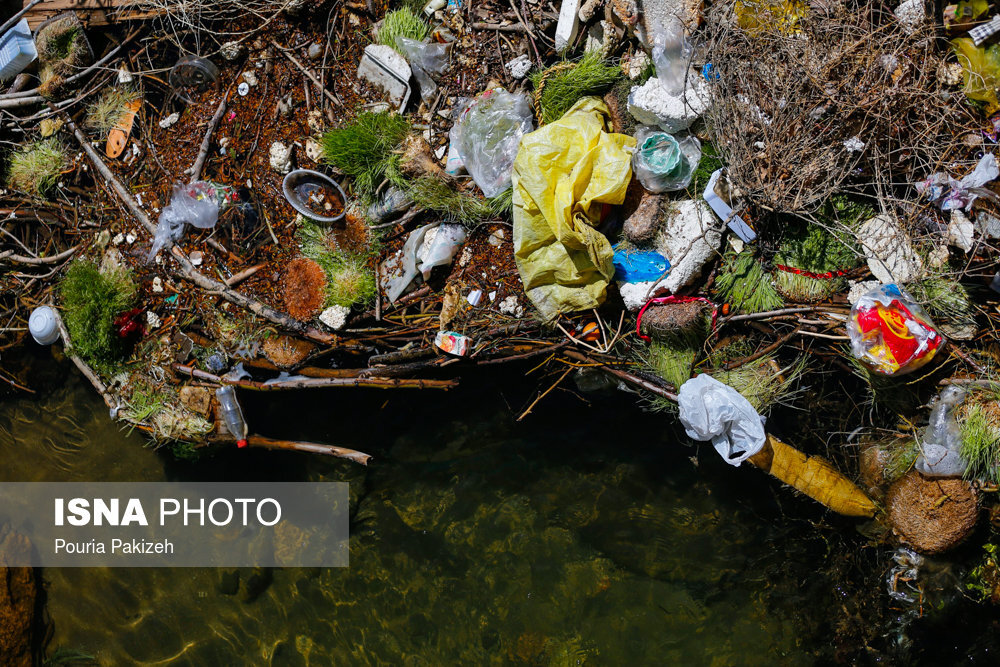 نوروز بدون زباله؛ چگونه سال سبزتری داشته باشیم؟