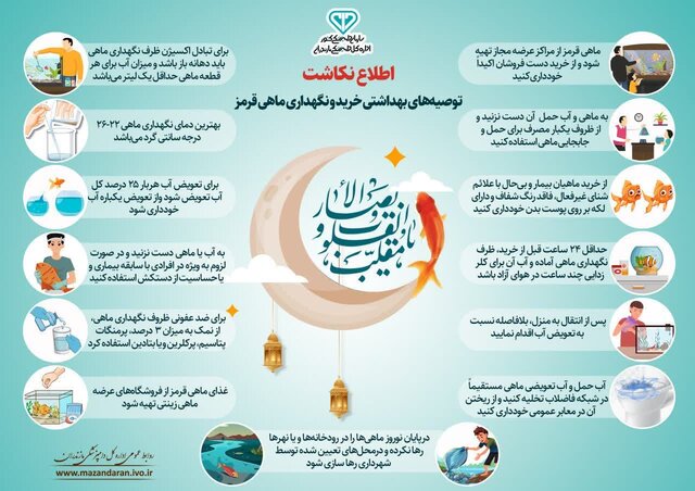 بایدها و نبایدها برای خرید و نگهداری ماهی قرمز