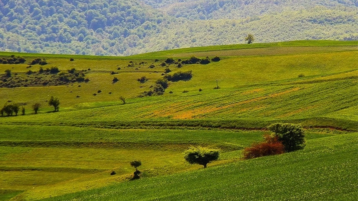 دریافت بیش از ۱۰۰ میلیارد ریال عواید اجاره اراضی واگذاری در کردستان