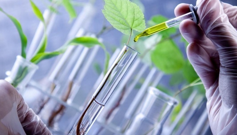 «تنوع زیستی» ایران در معرض نابودی تدریجی است