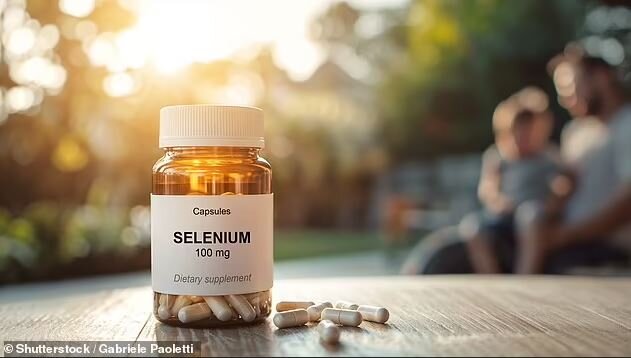 دانه‌ی پرخاصیتی که می‌تواند سرطان‌زا باشد