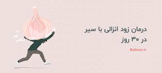 چه مواردی را در خرید سیر سیاه باید در نظر گرفت؟