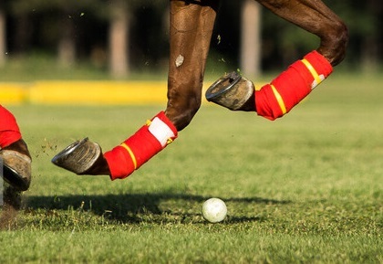 صعود چوگان ایران به جام جهانی آمریکا با شکست پاکستان