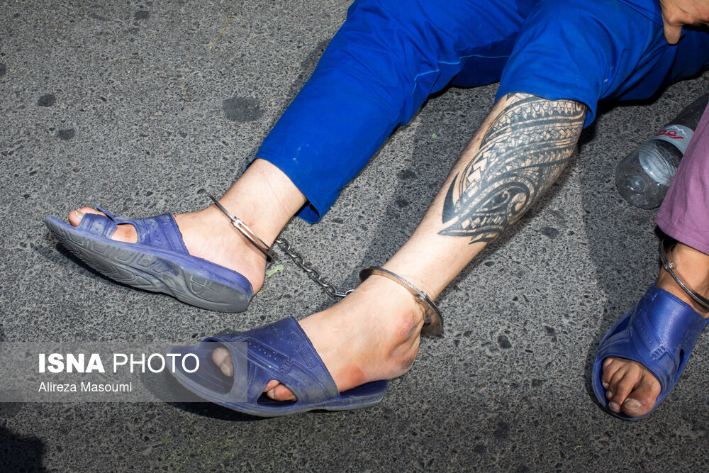 دستگیری اعضای باند سارقان احشام سنگین و اعتراف آنها به ۴۰ فقره سرقت