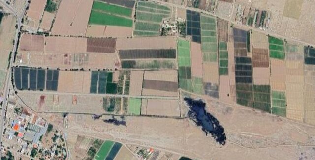 اینجا بیماری می‌کارند!