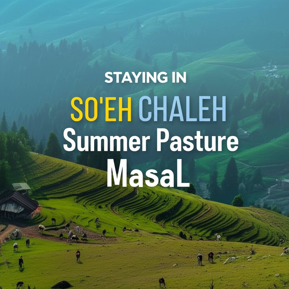 اقامت در ییلاق سوئه چاله ماسال