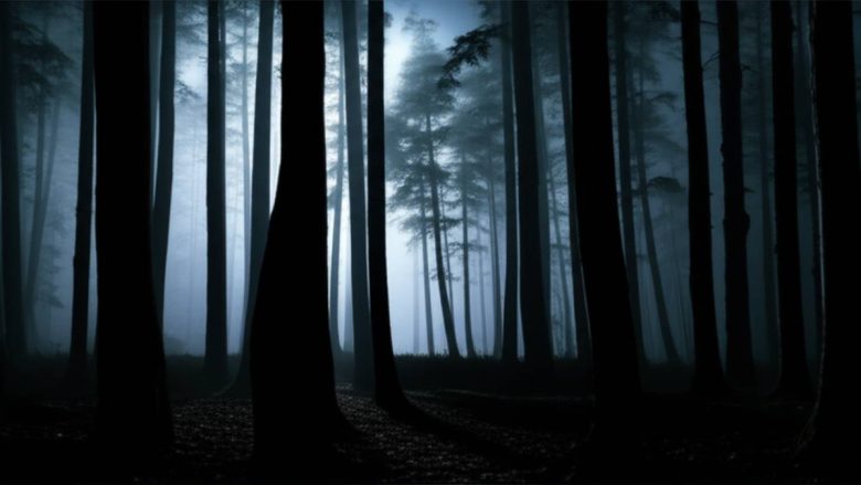 سریال در دل شب: نقد و بررسی جامع | هر آنچه باید بدانید