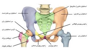 جراحی لگن چند ساعت طول می کشد؟